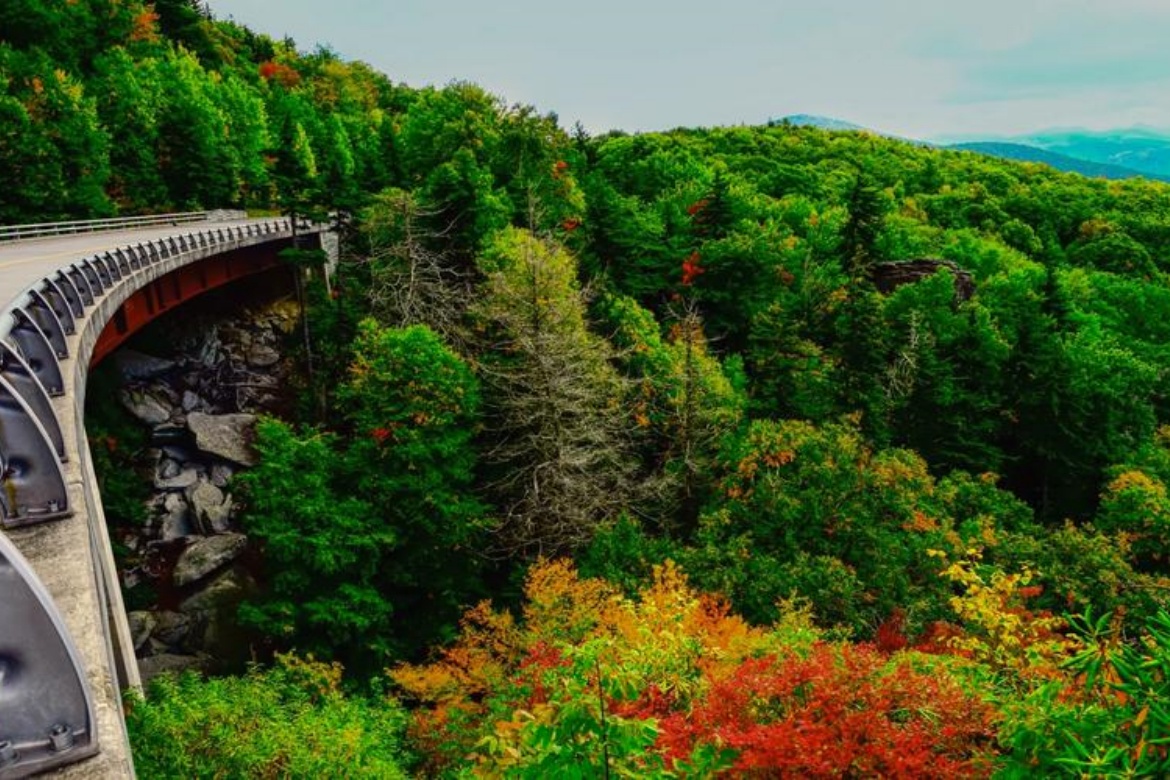 Jiguan Mountain National Forest Park